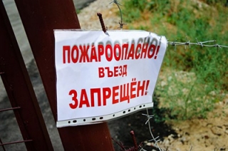 В Саратовской области введено ограничение на посещение лесов