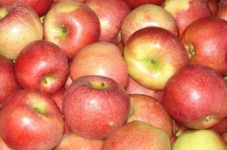 Депутат усмотрел монопольный сговор в росте цен на яблоки