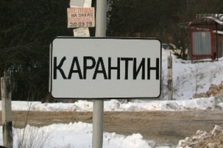 В двух районах Саратовской области введен карантин по АЧС