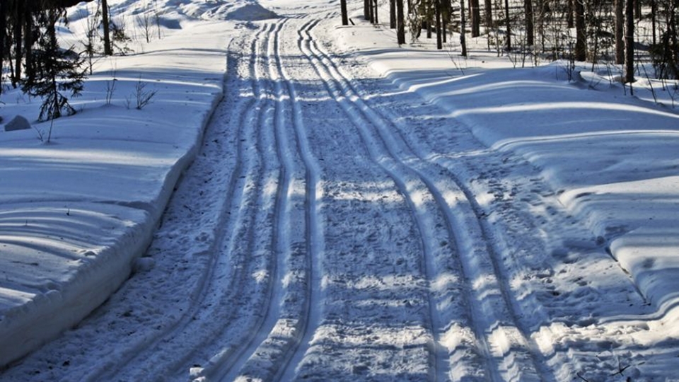 Открытие современной лыжной трассы в Энгельсе намечено на 24 декабря