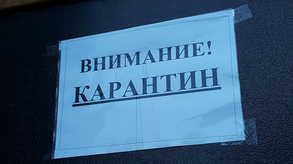 На карантин закрыли все школы в Пугачеве