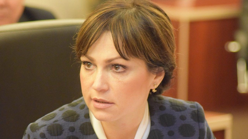 Юлия Швакова надеется на участие торгпредств в привлечении инвестиций