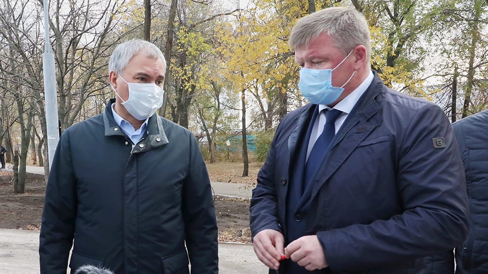 Спикер ГД призвал мэра сохранить деревья в саратовском парке