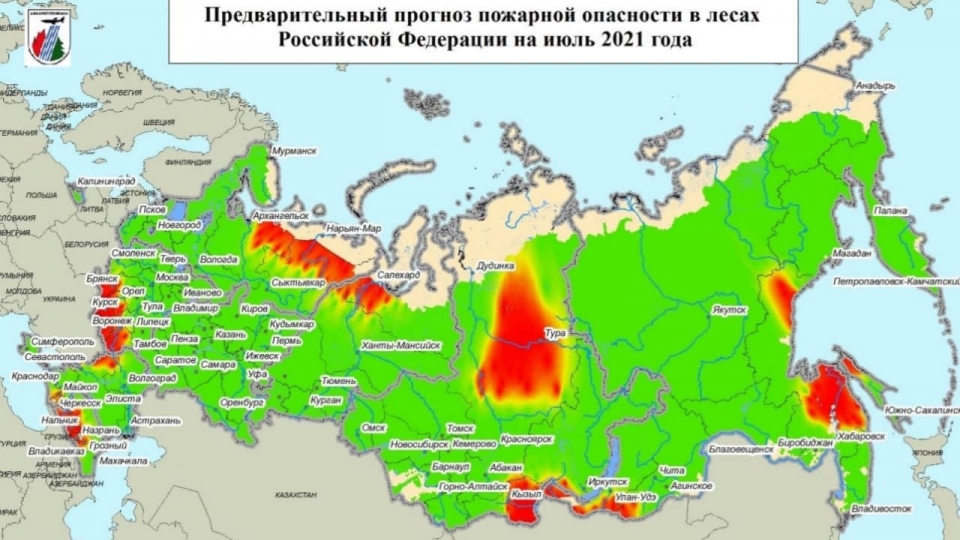 В июне в Саратовской области наиболее вероятны лесные пожары