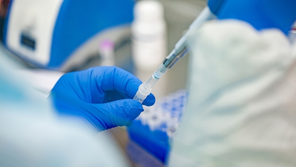 Срок действия ПЦР-тестов на коронавирус сократили до 48 часов