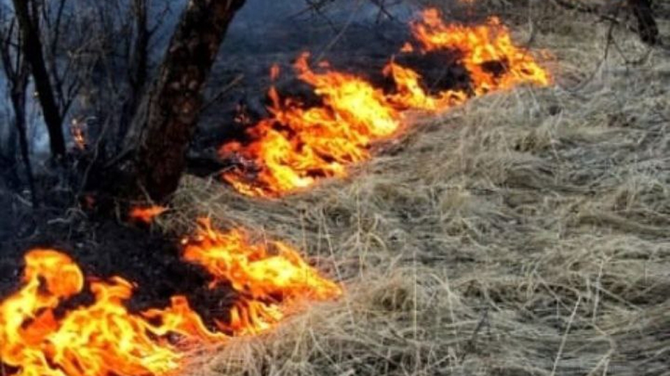 Саратовским дачникам запретили разводить костры и сжигать мусор