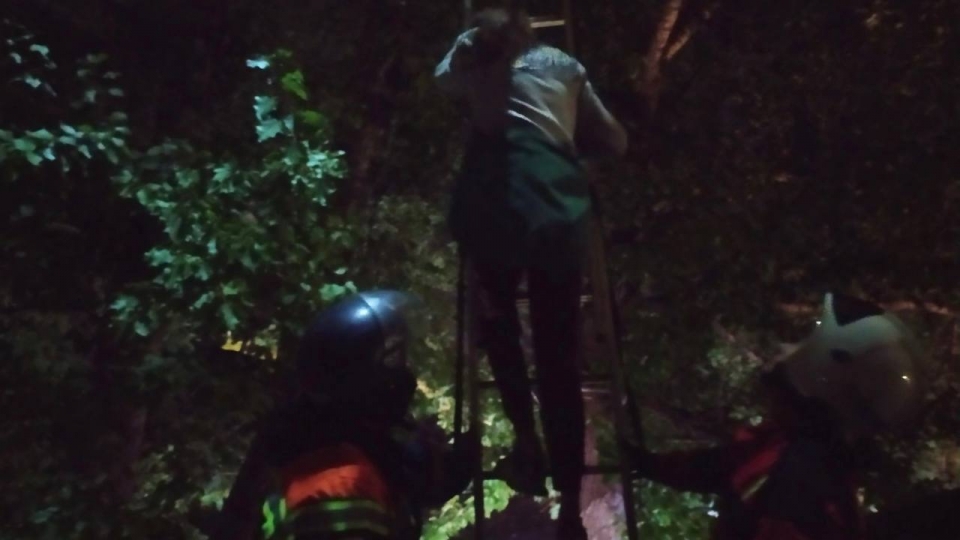 Подросток залез на дерево за котом и не смог спуститься без помощи спасателей