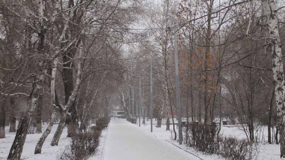 Рождественский сочельник по-саратовски: снег и начало морозов