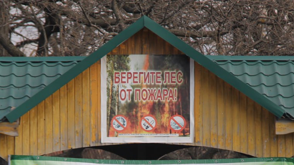 В саратовских лесах и рядом с ними запретили разжигать костры