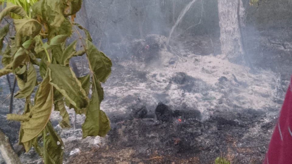 Поджог тополиного пуха едва не спалил турбазы на острове у Чардыма