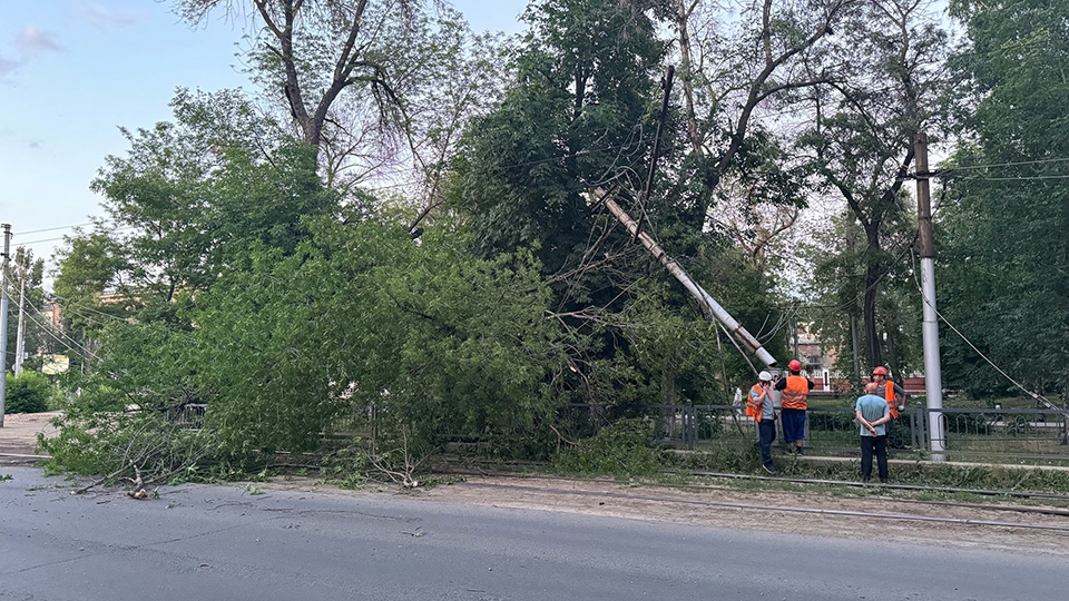 В центре Саратова за ночь убрали дерево с трамвайных путей
