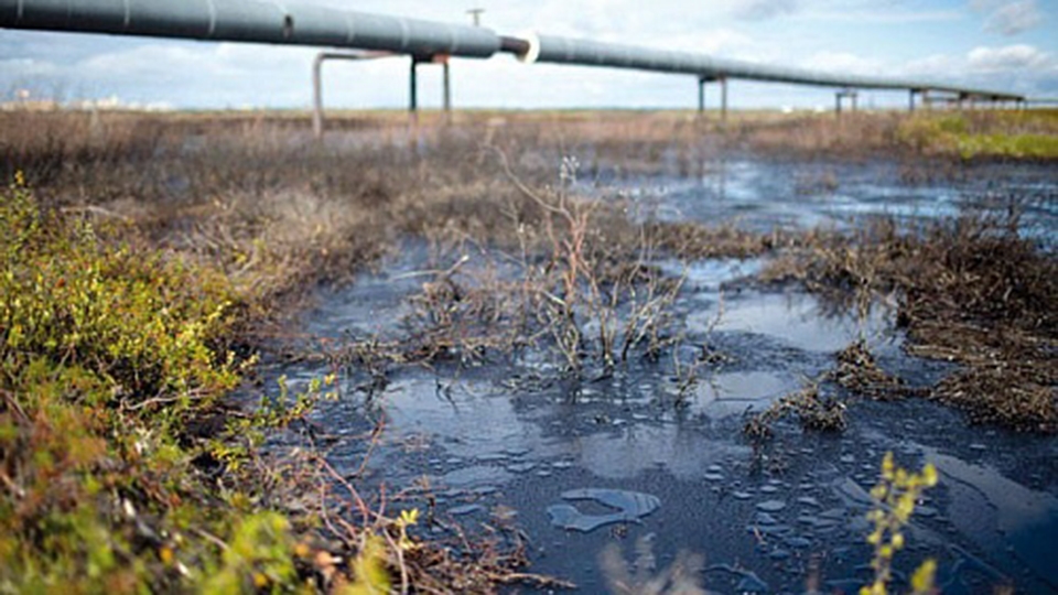 Нефтяная компания заплатит за загрязнение почвы в Саратове