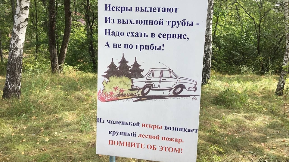 За нарушение противопожарного режима в лесах оштрафовали 13 саратовцев