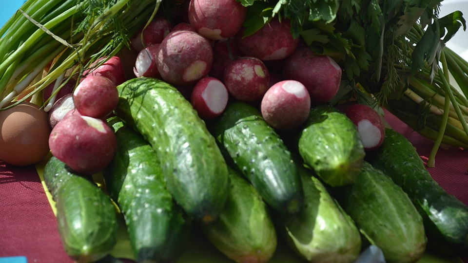 В Саратове открылись ежедневные овощные ярмарки