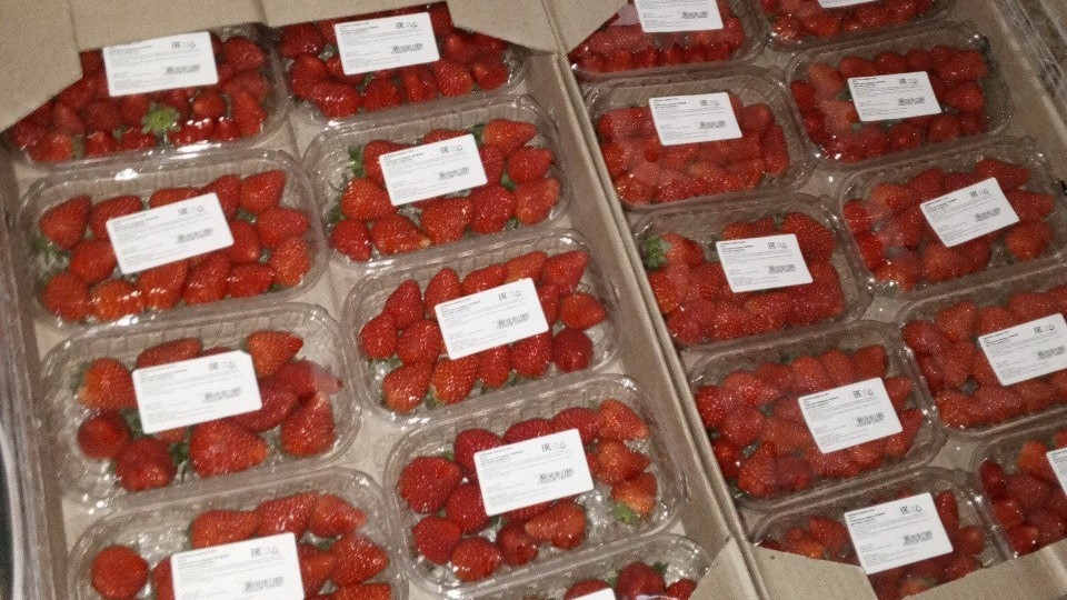 Из Саратовской области не выпустили в Узбекистан полтонны ягод, овощей и грибов