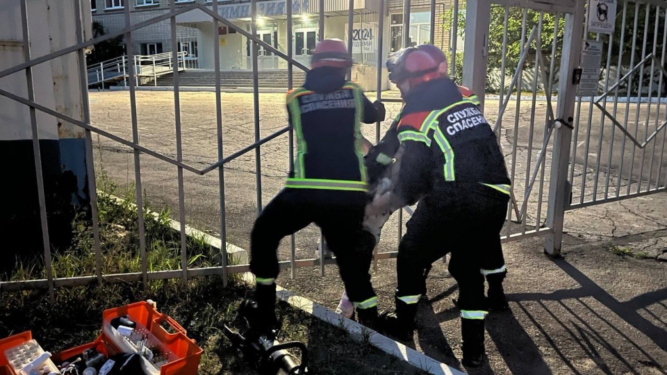 Около саратовской гимназии спасатели помогли застрявшей в заборе женщине