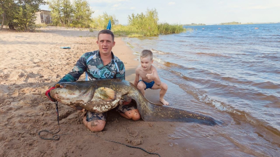 Саратовский рыбак поймал возле пляжа гигантского сома