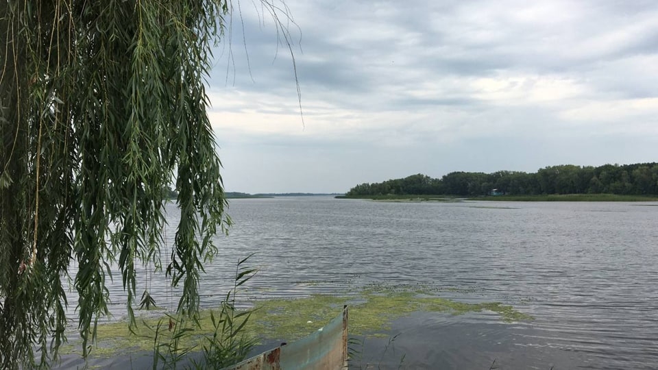 В четверг саратовцев ждет теплый день и небольшой дождь