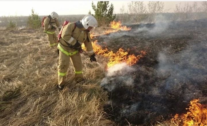 Около дачного поселка все воскресенье тушили сухую траву