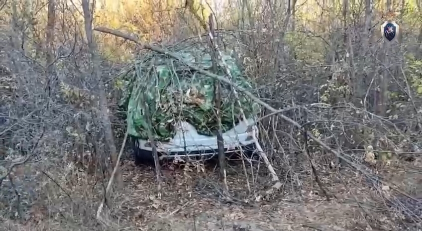 Обнародовано видео с места убийства похищенной Натальи Алешниковой