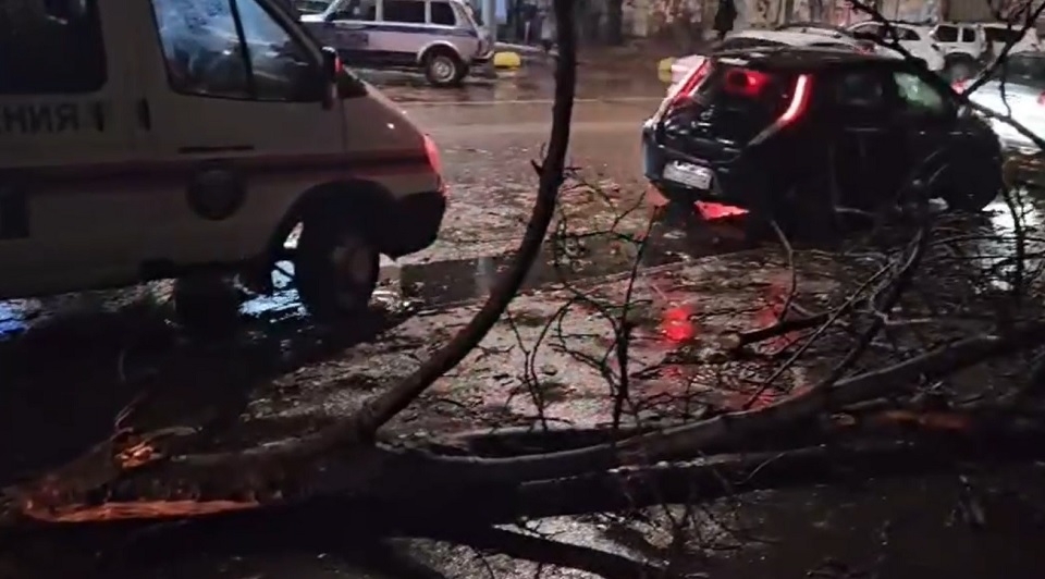 В центре Саратова на девочку упала ветка. Пострадавшая в больнице