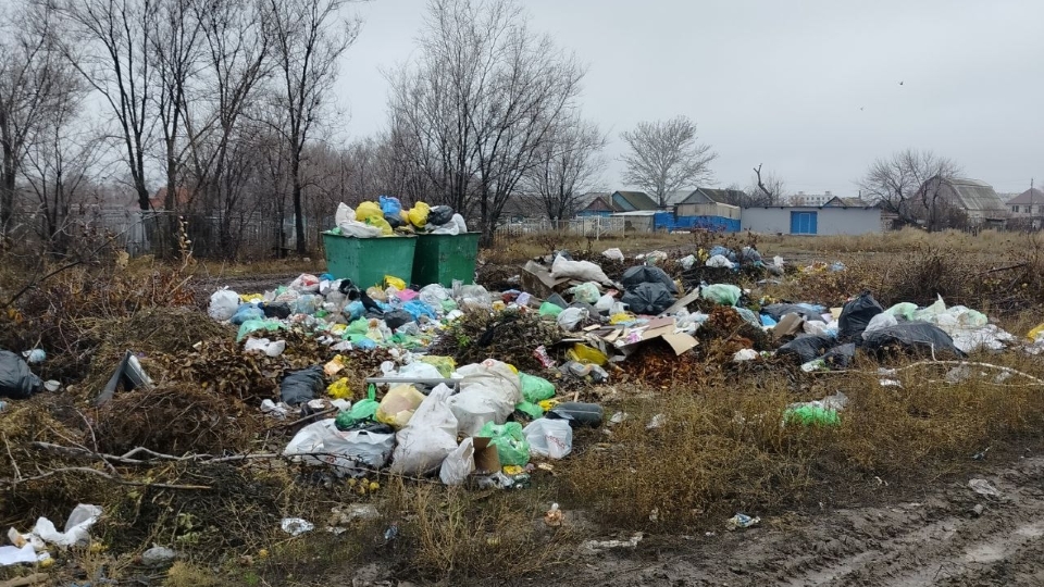 Горожане о мусорной свалке у кладбища: 