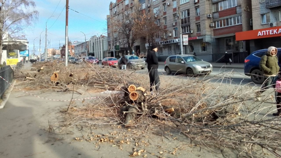 В Саратове спил деревьев на Чапаева привел к пробкам