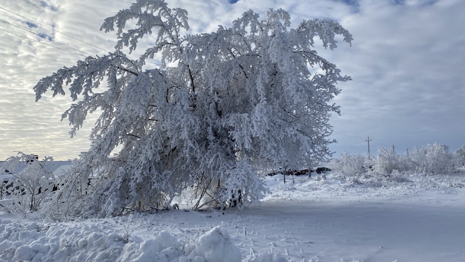 До -20°. Саратовцев ждут морозные выходные