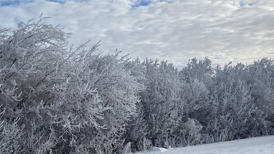 От +2° до -21°. Синоптики обещают саратовцам в выходные метель и мороз