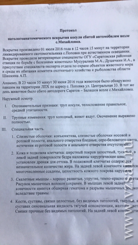 Протокол вскрытия трупа животного образец