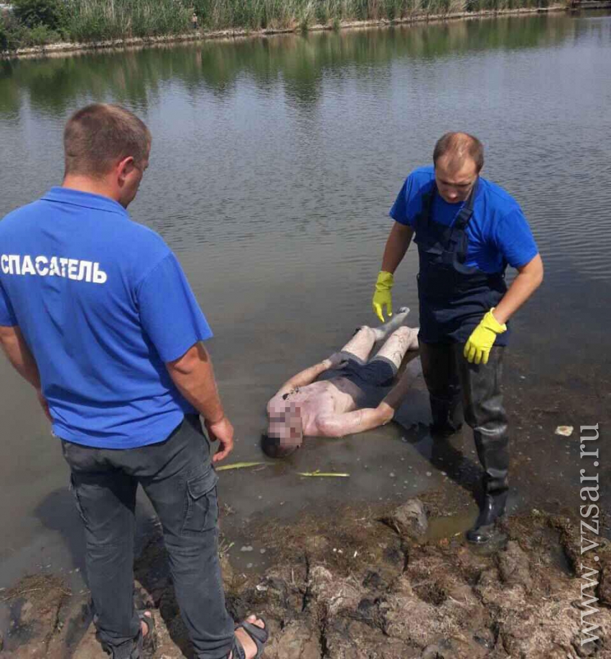 Из пруда на окраине Саратова спасатели достали тело утопленника | Новости  Саратова и области — Информационное агентство 