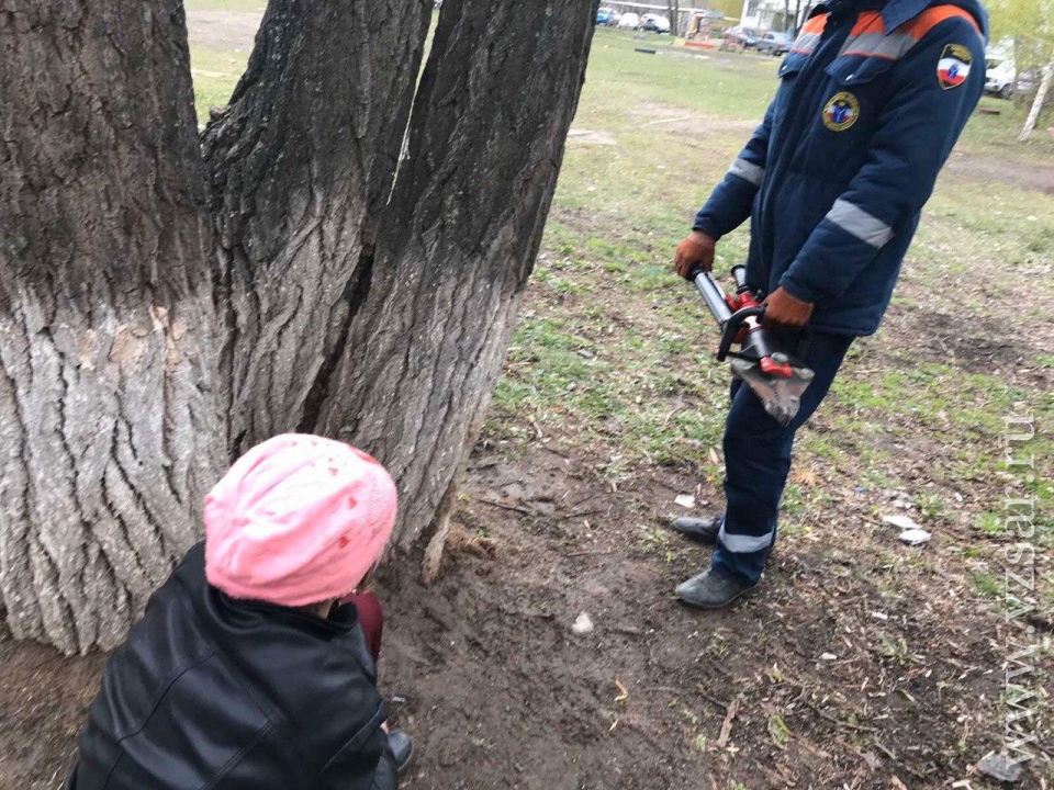 Застряла в дереве. Девочка застряла на дереве. Дети спасают дерево. Девушка застряла в дереве. Дерево помощи.