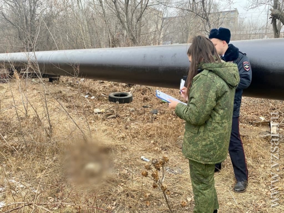 В Заводском районе работники ТЭЦ нашли человеческий череп | Новости