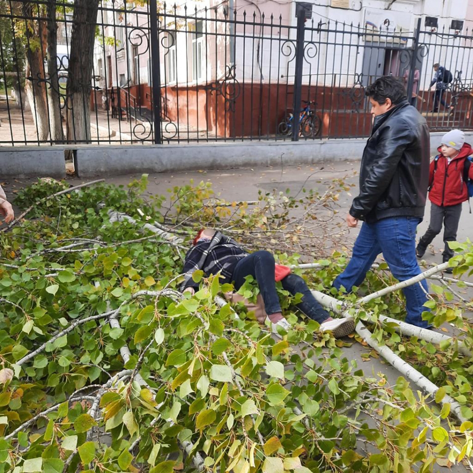 В Саратове перед школой упавшая ветка дерева зашибла пенсионерку |  12.10.2023 | Саратов - БезФормата