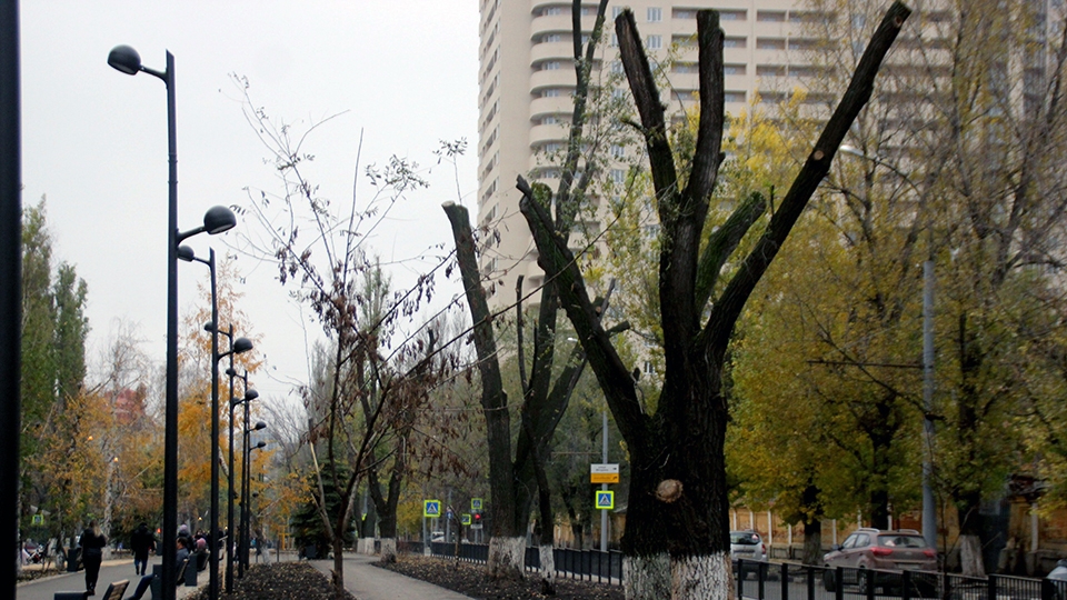 Камера рахова московская. Рахова 61/71 Саратов. Бульвар Рахова до благоустройства. Рахова Саратов гирлянда. Остановка Рахова Саратов.