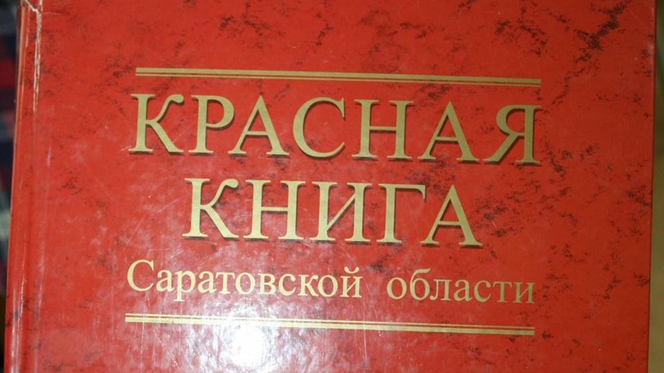 Проект красная книга саратовской области